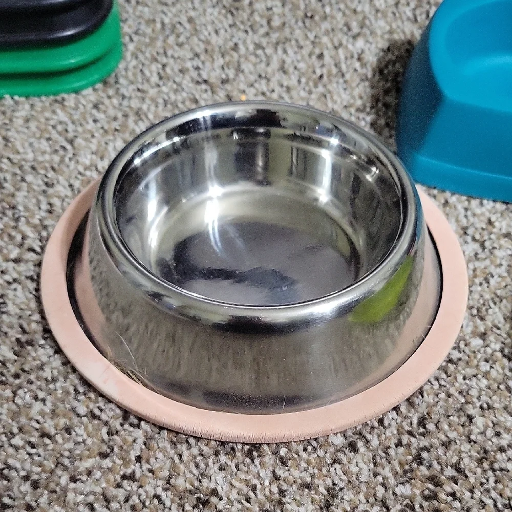 Colorful Pet Bowls Set